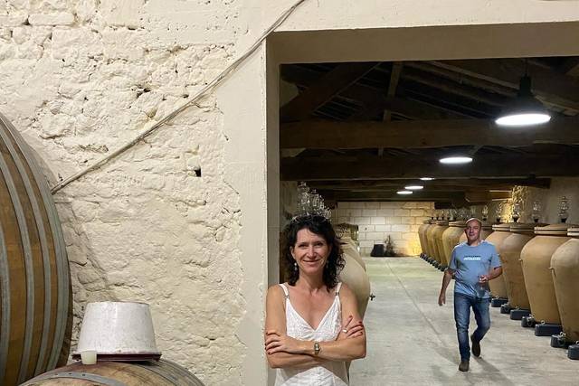 En visite chez les vignerons