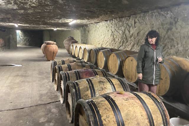 En visite chez les vignerons