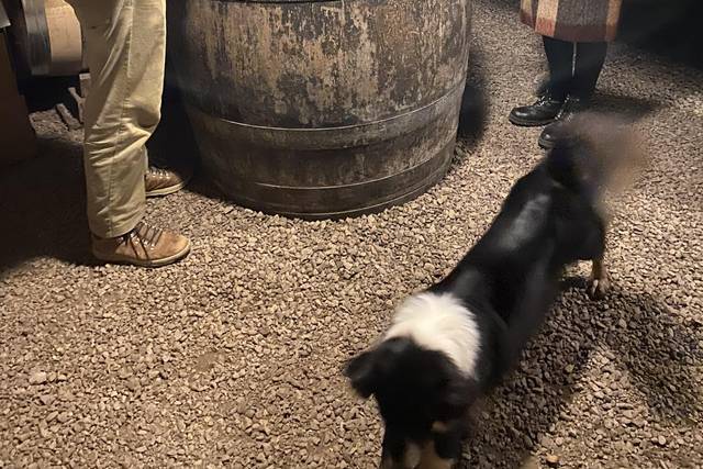 En visite chez les vignerons