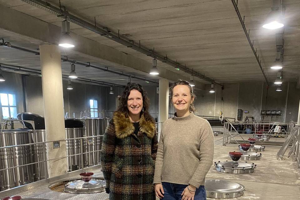 En visite chez les vignerons