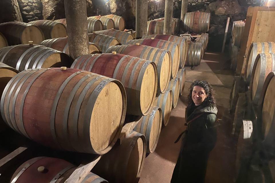 En visite chez les vignerons
