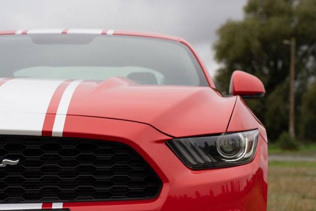 Mustang