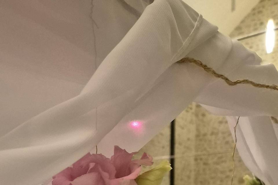 Plume d'Emerveil