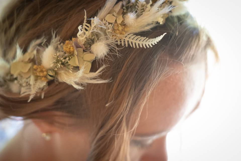 Plume d'Emerveil