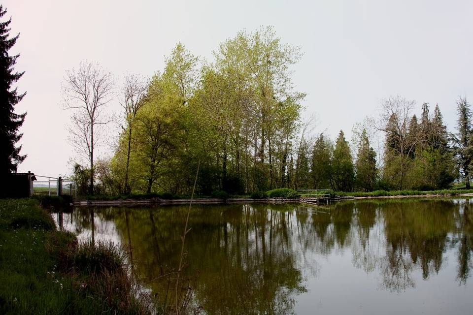 Panorama de l'étang