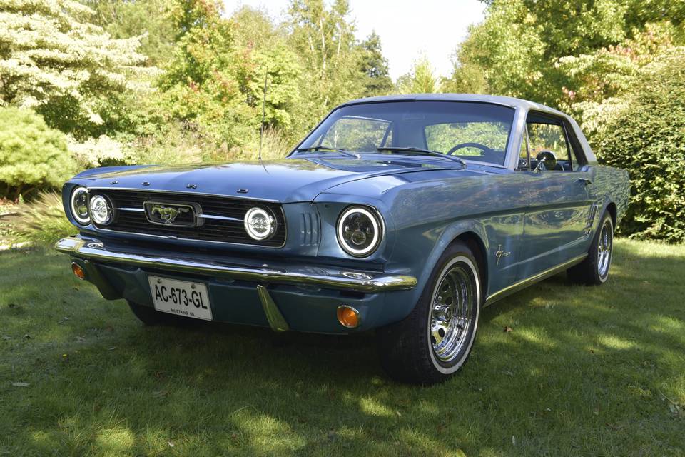 Mustang