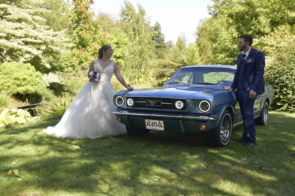 Mustang