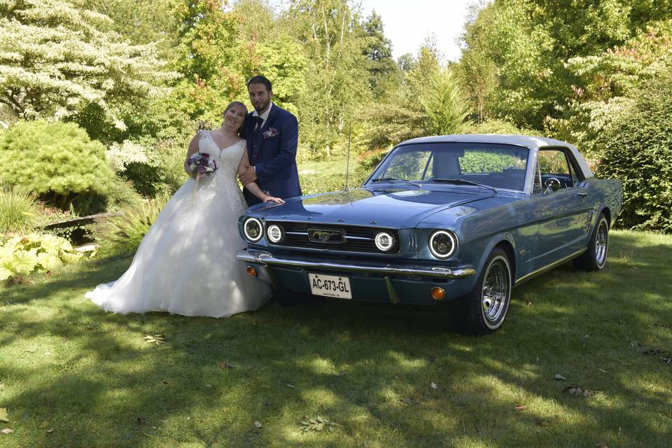 Mustang