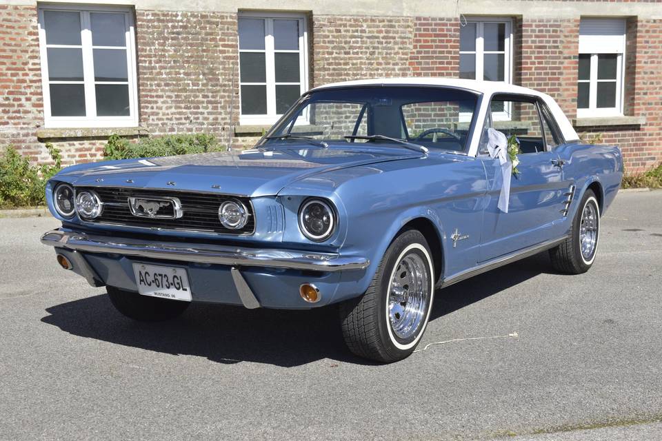Mustang