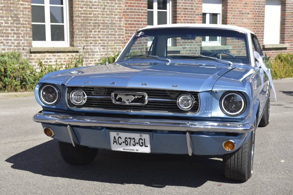 Mustang
