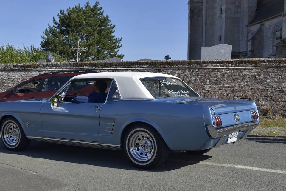 Mustang