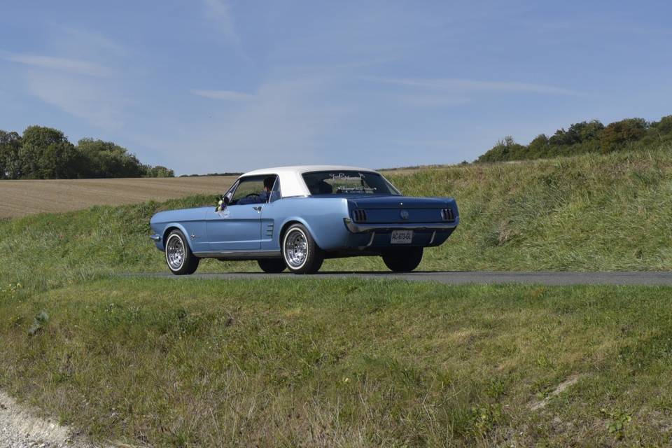 Mustang