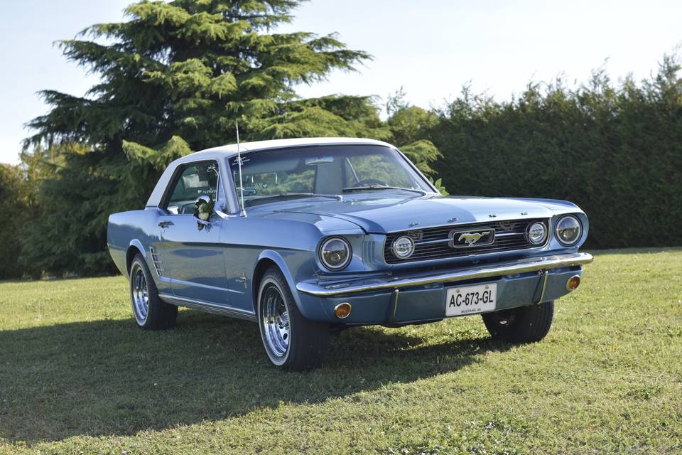 Mustang