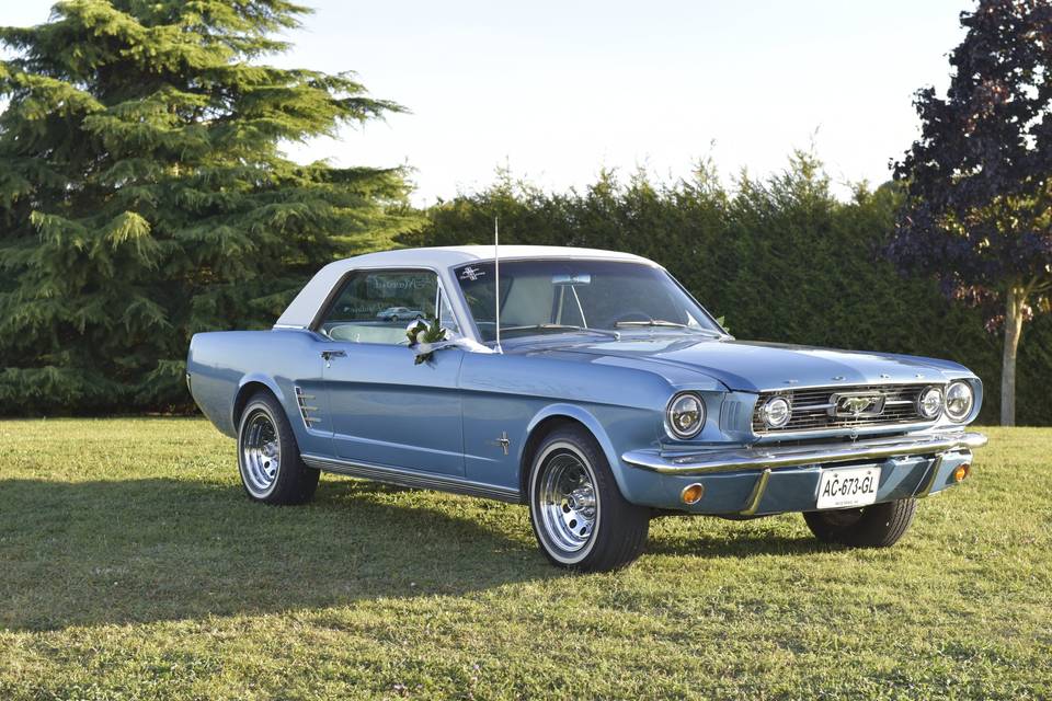 Mustang