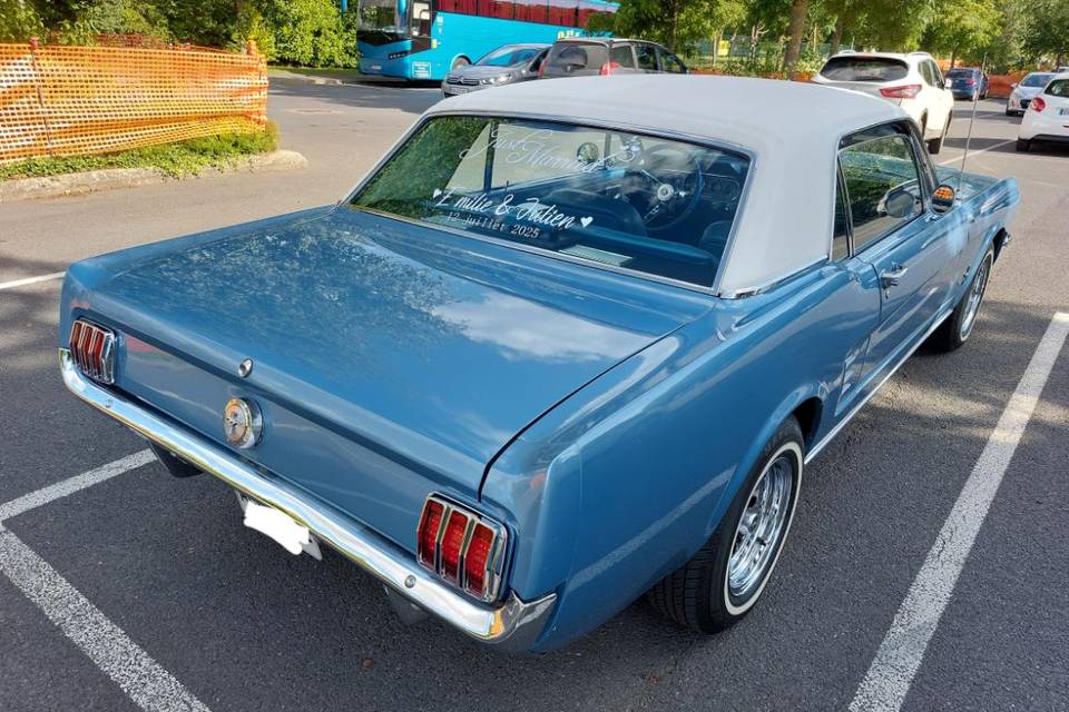Mustang