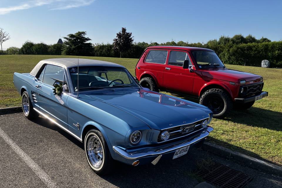 Mustang