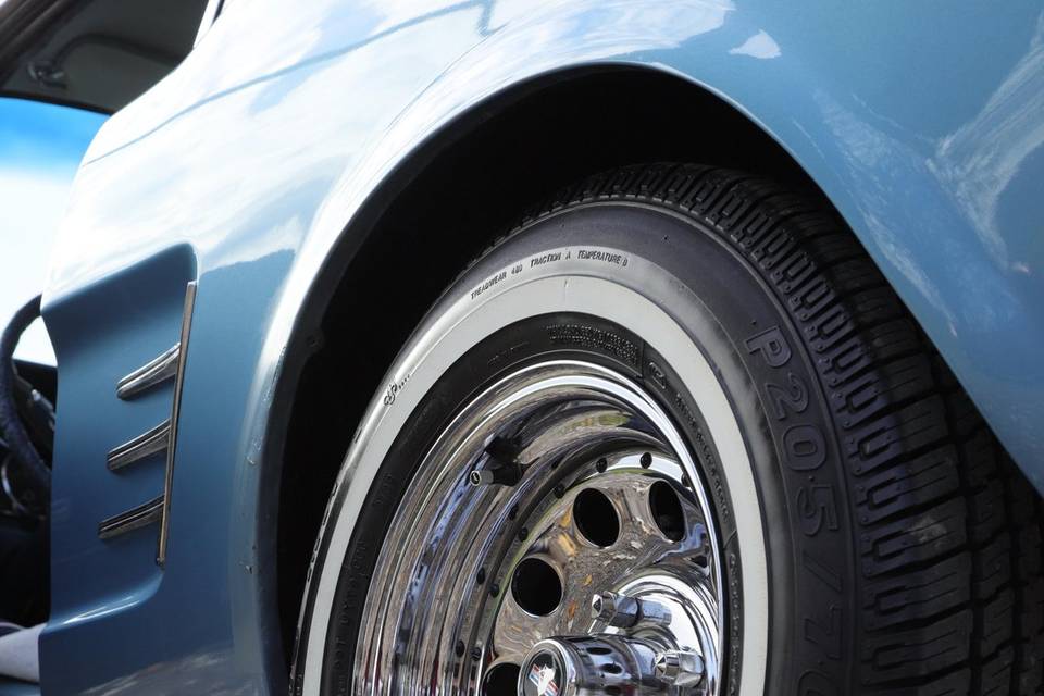 Mustang