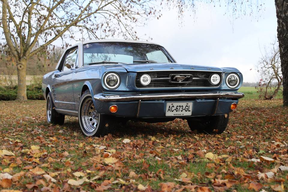 Mustang