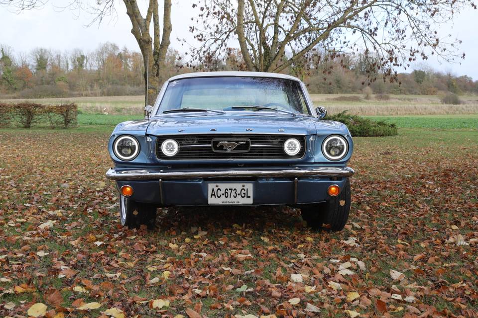 Mustang