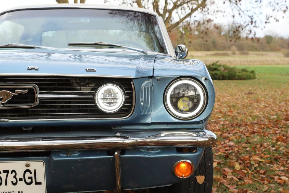 Mustang
