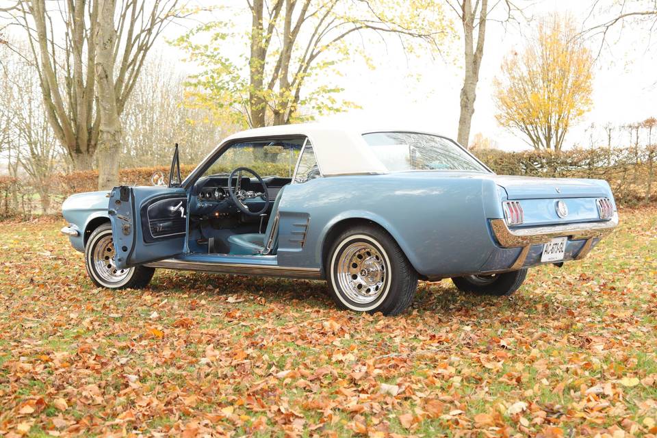 Mustang