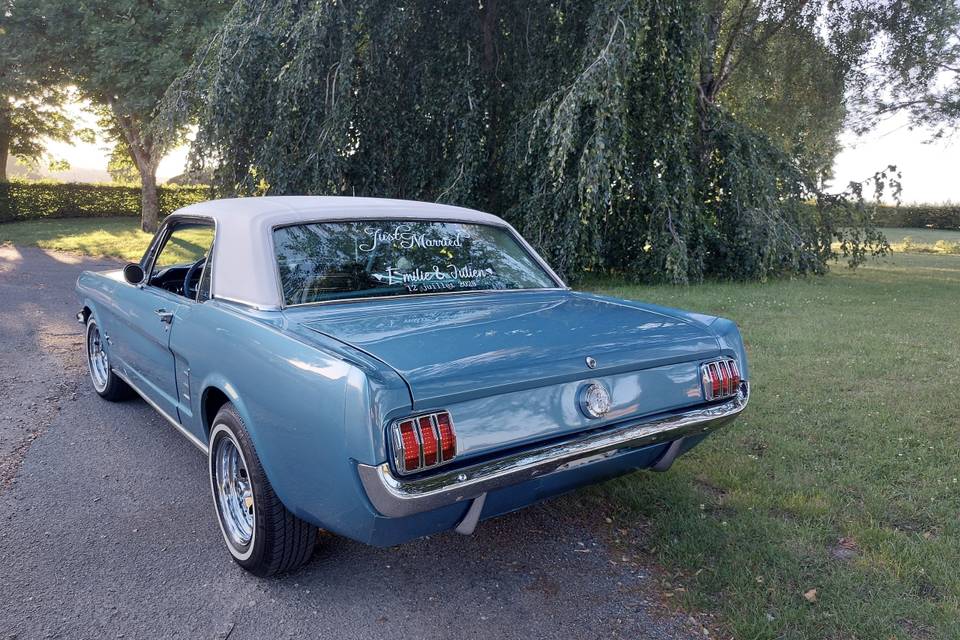 Mustang