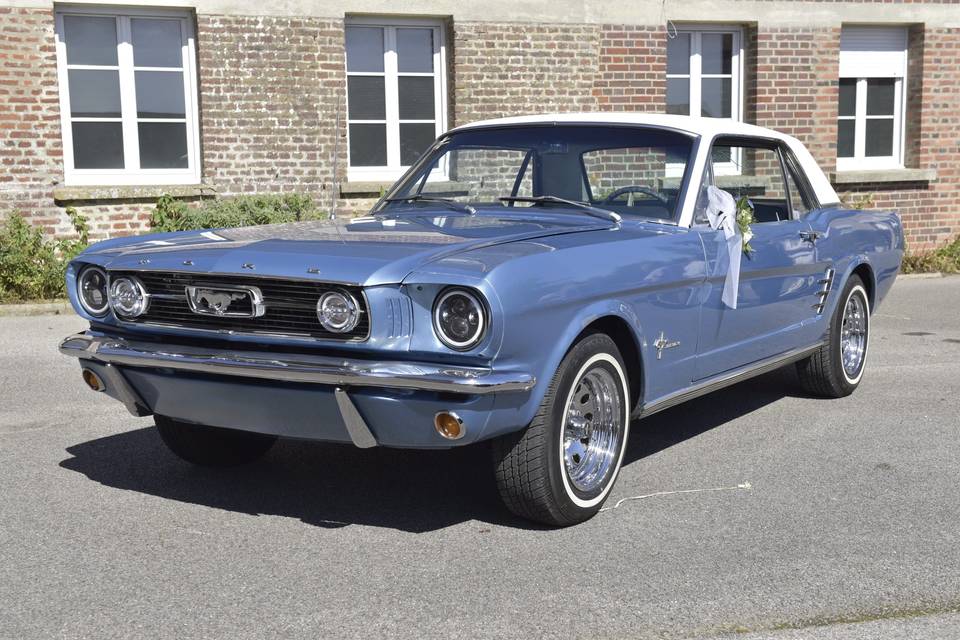 Mustang