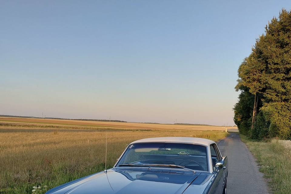 Mustang