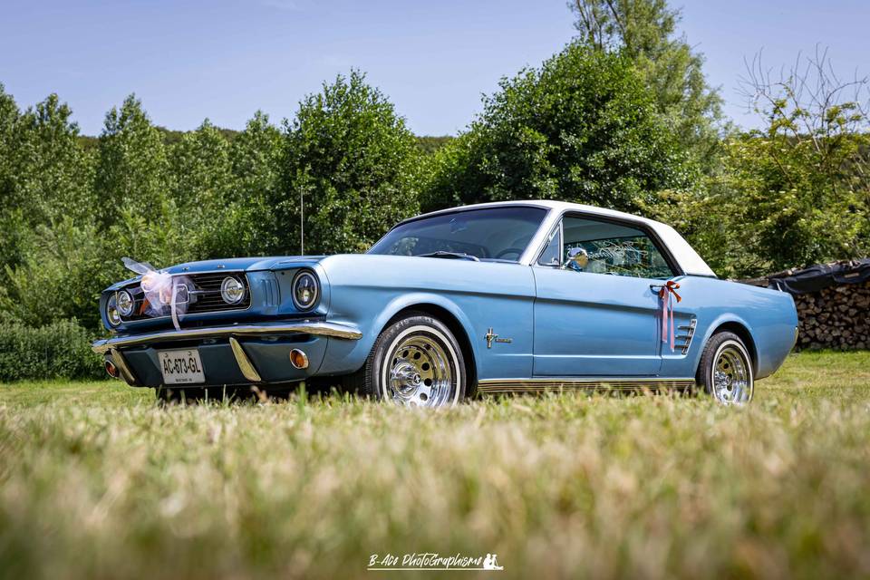 Mustang