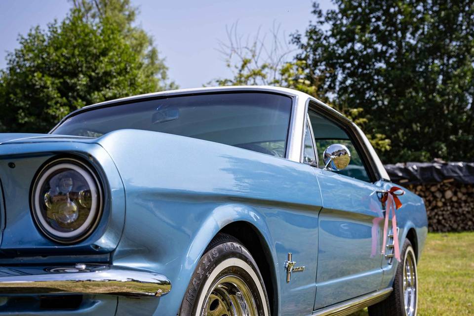 Mustang