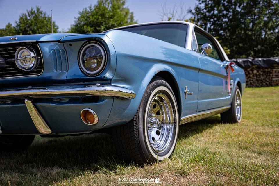 Mustang
