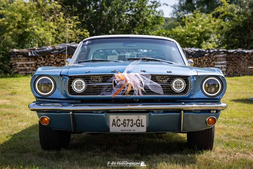 Mustang