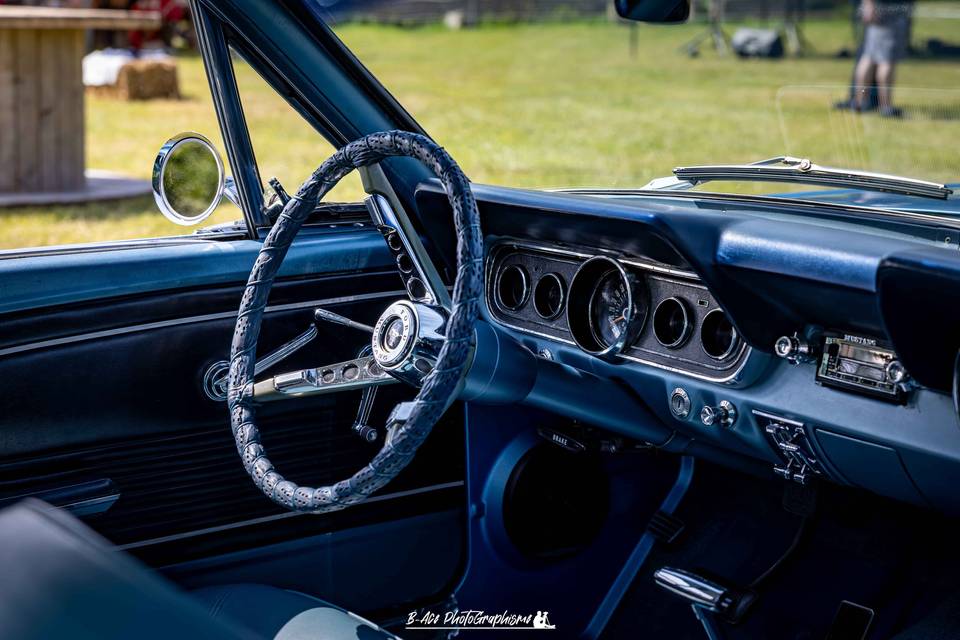 Mustang