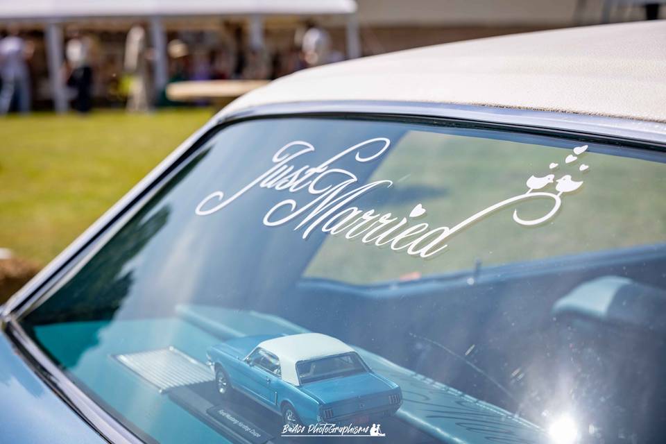 Mustang
