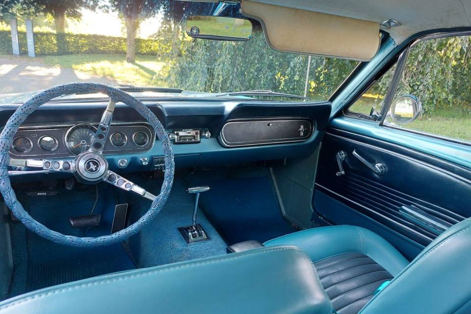 Mustang