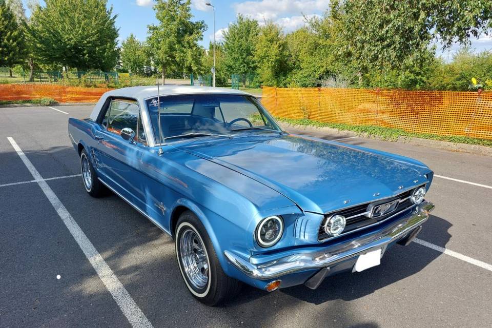 Mustang