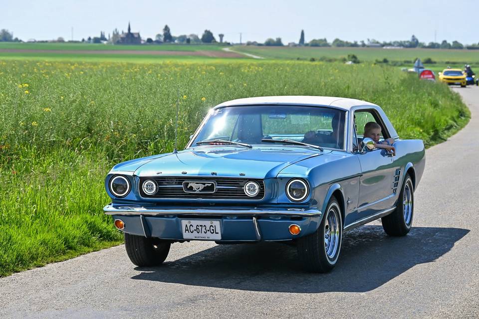 Mustang