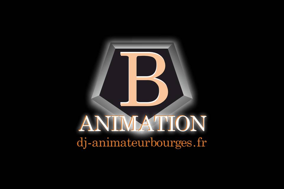 B.Animation 18