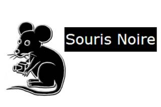 Souris Noire Photographe logo bon