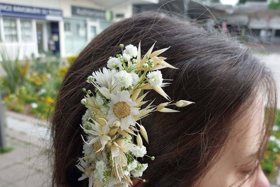 Coiffure séchée