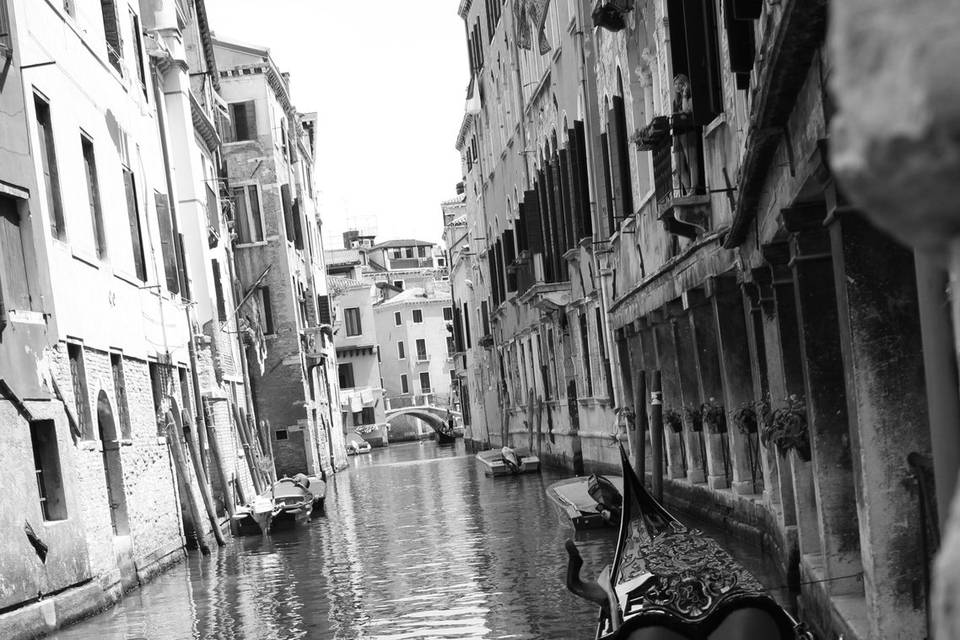 Venezia
