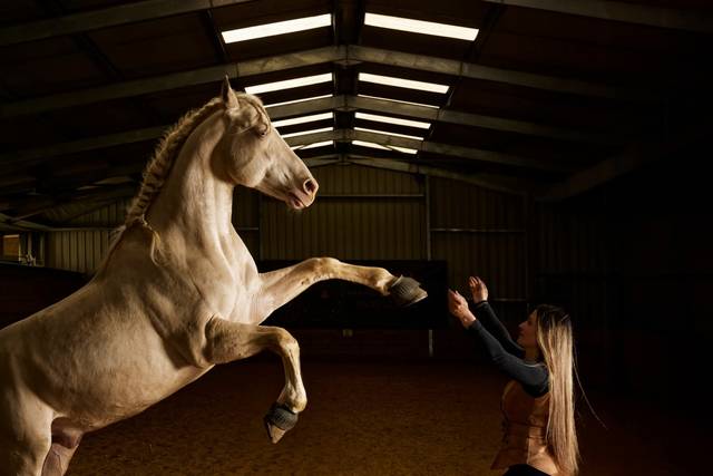 Cheval