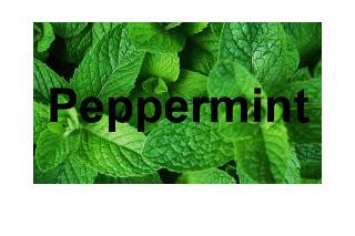 Pepermint logo