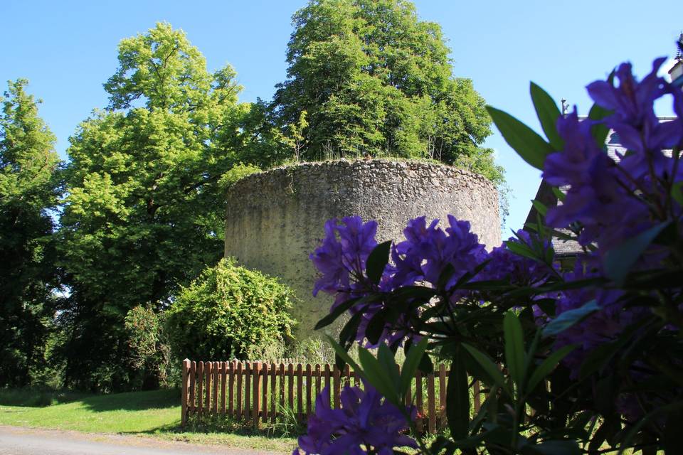 Château Amenon