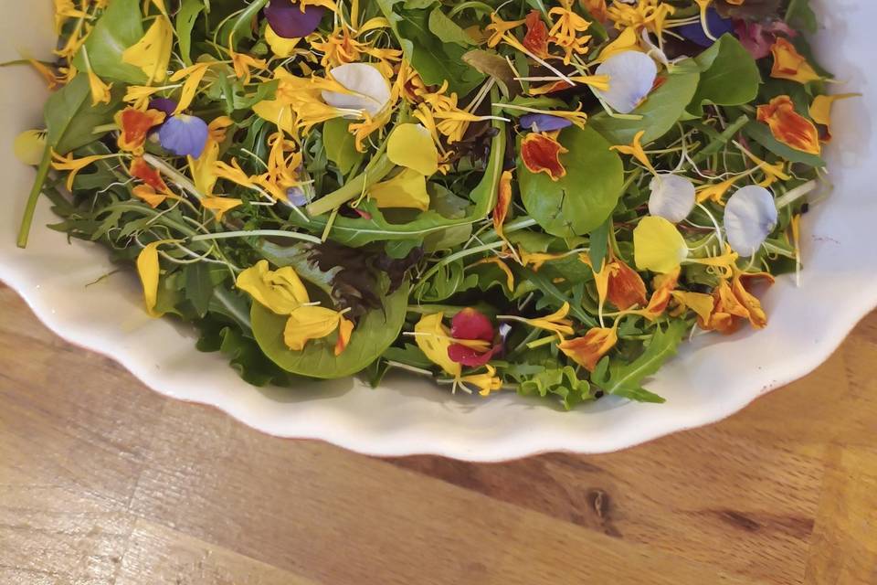 Bar à salades