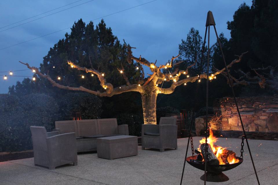 Terrasse des Mûriers en hiver