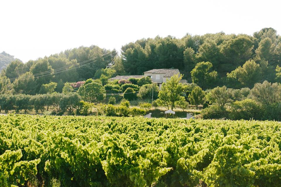 Mas des Oliviers vu des vignes