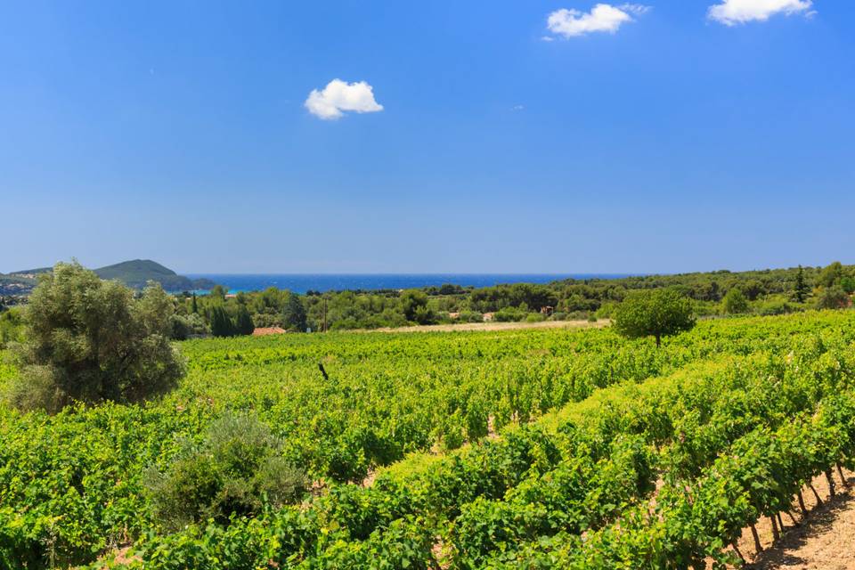 Domaine des trois filles