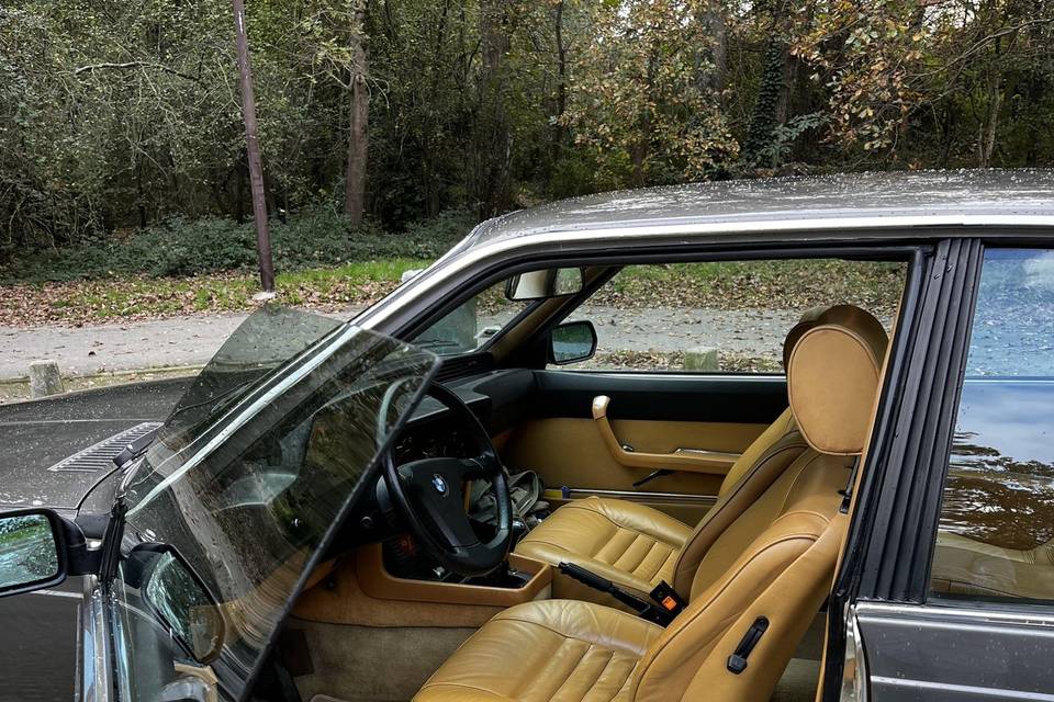 Conducteur  bmw coupé
