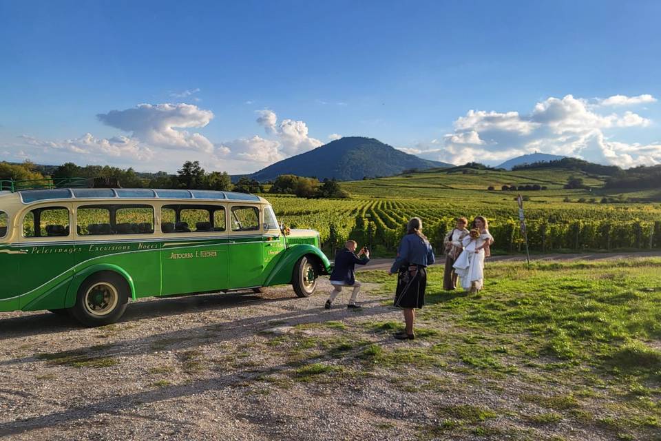 Photo vignes avec car ancien